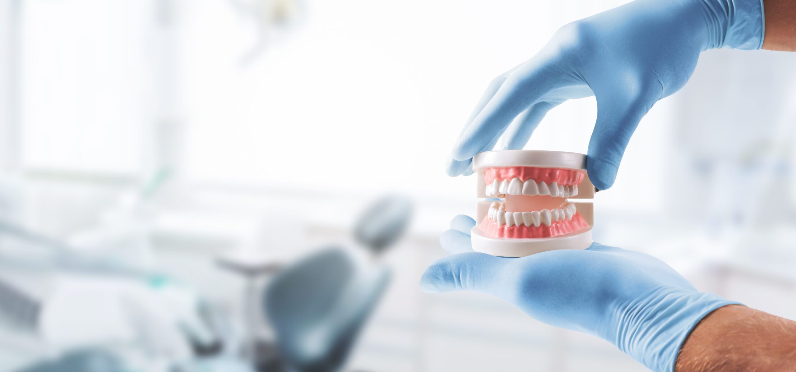 dentist hands with tooth model in dental clinic dentist hands with tooth model in dental clinic